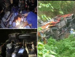 Tragedi Bus Masuk Jurang, 30 Orang Selamat 3 Meninggal Dunia