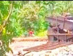 Dua Perseroan Terbatas Diduga Berkedok IUP Batuan Menambang Emas