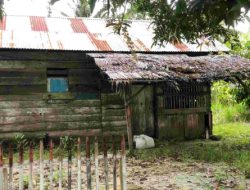 Penduduk Miskin Di Sulteng Bertambah 5,95 Ribu Orang