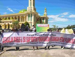 Kecewa,Ratusan Petani Plasma Buol Gelar Aksi Di Depan DPRD