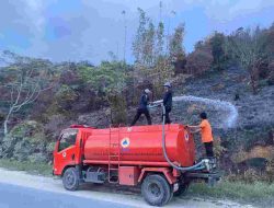 Ancaman El Nino Nyata,Puluhan Hektar Hutan Dilalap Si Jago Merah