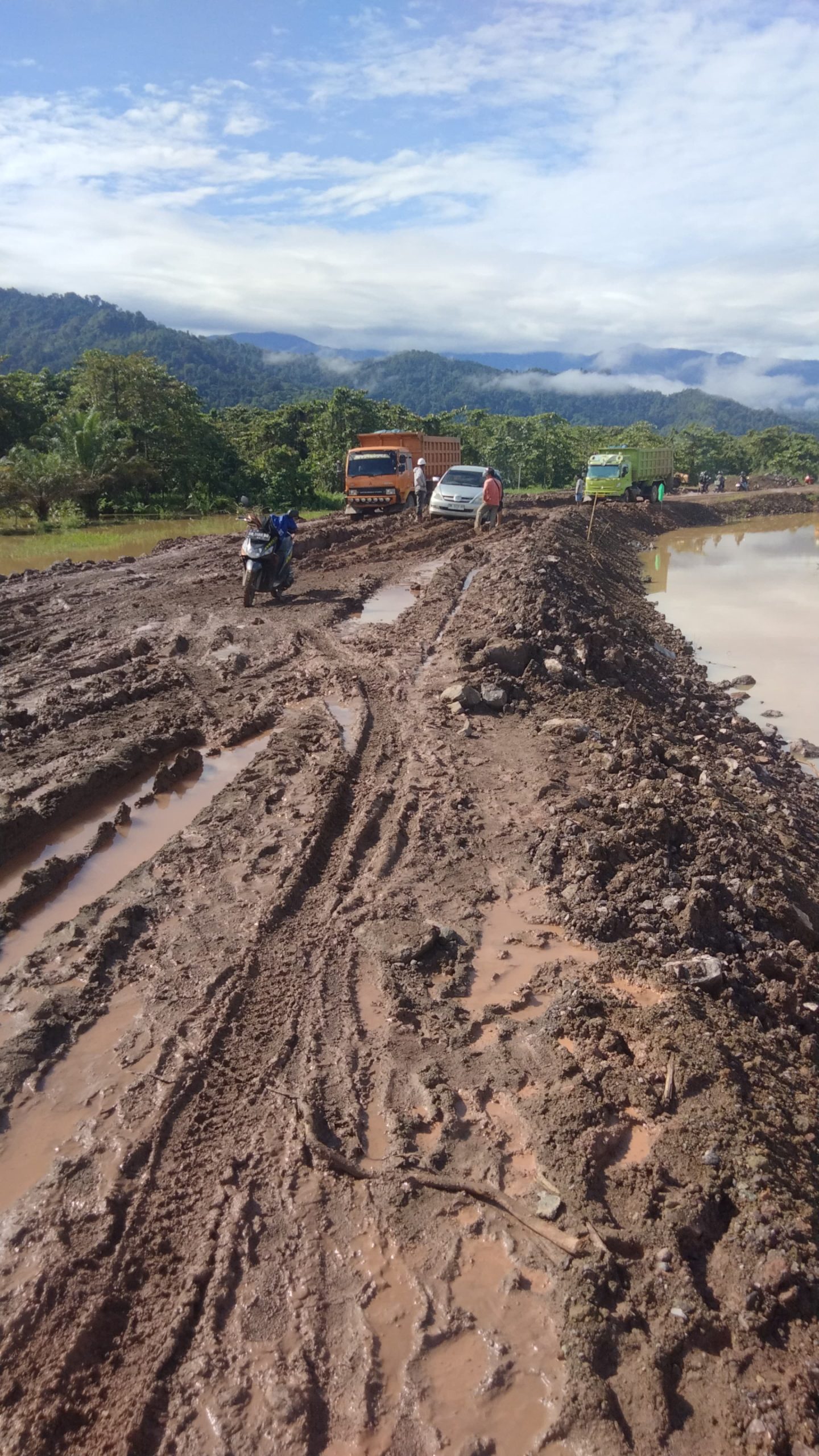 KRAK Laporkan Dugaan Korupsi Perkebunan Sawit dan Proyek Pembangunan Jalan di Sulteng