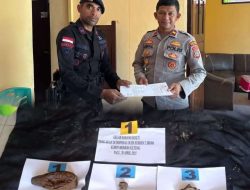 Bom Mortir Aktif Ditemukan Warga di Tolitoli, Berhasil Dimusnahkan Tim Jibom