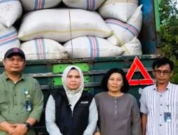 Bulog Sulteng Serap 10 Ton Gabah di Parigi Moutong