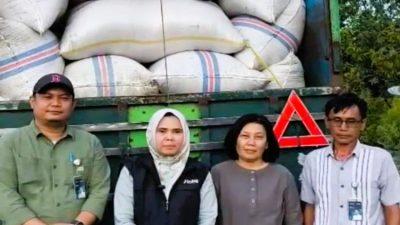 Pimwil Bulog Kanwil Sulteng Elis Nurhayati, tinjau gabah yang diserap petani Kecamatan Toribulu, Kabupaten Parigi Moutong. (Bulog Sulteng)