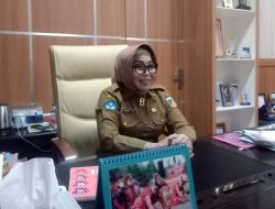 Pendidikan Gratis Sulteng : Sekolah Dilarang Melakukan Pungutan!