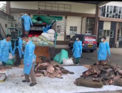 Barantin Gagalkan Penyelundupan 2,9 Ton Daging Celeng Jelang Iduladha