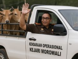 Solidaritas Tanpa Batas! Kejari Morowali Qurban 4 Sapi untuk Masyarakat
