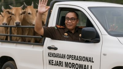 Solidaritas Tanpa Batas! Kejari Morowali Qurban 4 Sapi untuk Masyarakat