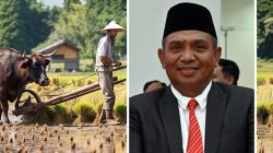 Sulteng Cetak 10 Ribu Hektar Sawah, Anggaran Rp365 Miliar