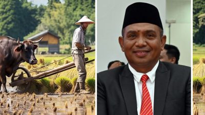 Kepala Dinas TPH Sulteng, Nelson Metubun, menyampaikan bahwa program ini selaras dengan visi-misi Gubernur dan Wakil Gubernur Sulawesi Tengah periode 2025–2030, khususnya dalam pilar “Berani Makmur” atau “Berani Panen Raya”. (Foto : Ist)