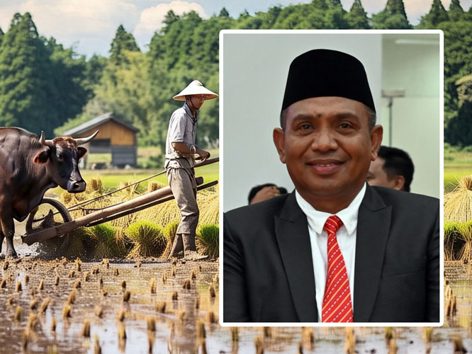 Kepala Dinas TPH Sulteng, Nelson Metubun, menyampaikan bahwa program ini selaras dengan visi-misi Gubernur dan Wakil Gubernur Sulawesi Tengah periode 2025–2030, khususnya dalam pilar “Berani Makmur” atau “Berani Panen Raya”. (Foto : Ist)