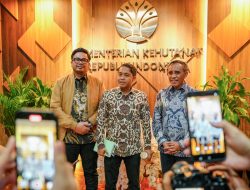 Gubernur Anwar Hafid Komitmen Pulihkan Fungsi Hutan dari Dominasi Tambang