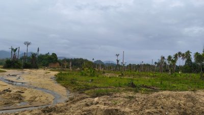 Safri Desak Pemkab Parimo Tindak Tegas Tambang Kayuboko