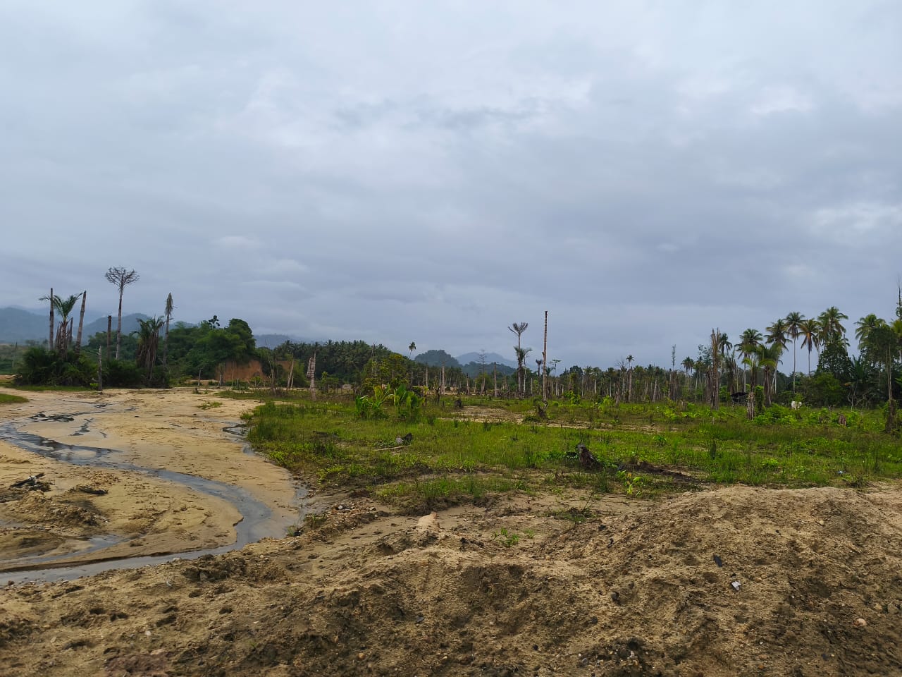 Safri Desak Pemkab Parimo Tindak Tegas Tambang Kayuboko