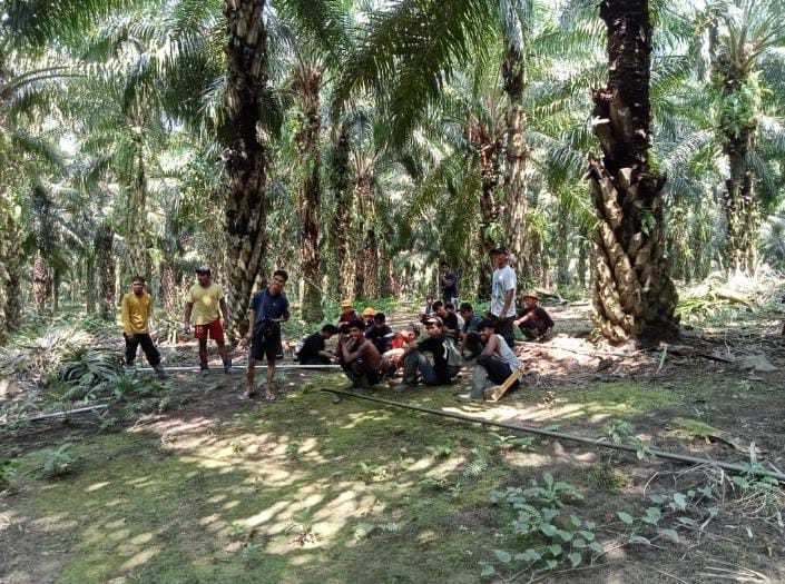 PT RAS Nekat Lawan Segel Satgas PKH, Allan Billy Graham: Wibawa Negara Dipertaruhkan!