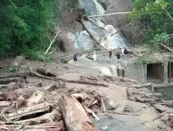Jalur Trans Sulawesi di Banggai Terputus Akibat Banjir dan Longsor