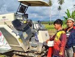 Kejari Donggala Periksa Tiga Saksi Dugaan Jual Alat Pertanian Pokir DPRD Sulteng