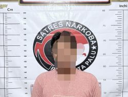 Pria di Palu Ditangkap Bawa 24 Paket Sabu