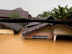 Banjir Rendam Tolitoli, BPBD Pastikan Tak Ada Korban Jiwa