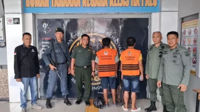 Gakkumhut Tangkap Pelaku PETI di Parimo