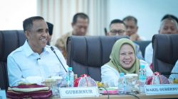 Anwar-Reny Paparkan Tantangan Fiskal dan Arah Pembangunan Sulteng di Hadapan Banggar DPR RI