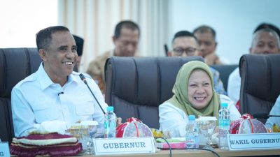 Anwar-Reny Paparkan Tantangan Fiskal dan Arah Pembangunan Sulteng di Hadapan Banggar DPR RI