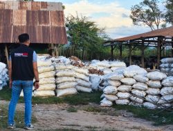 Komnas HAM Sulteng Desak Usut Dugaan ‘Beking’ Tambang Ilegal Karya Mandiri