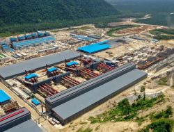 WALHI Menang Gugatan Lingkungan Hidup terhadap Tiga Perusahaan Nikel