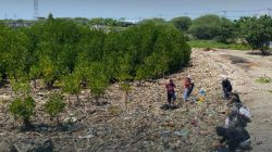 DLH Palu Ajak Aksi Kolektif Tangani Sampah Mangrove Dupa