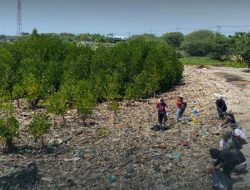 DLH Palu Ajak Aksi Kolektif Tangani Sampah Mangrove Dupa