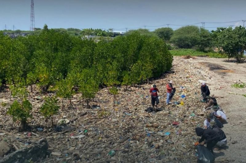 DLH Palu Ajak Aksi Kolektif Tangani Sampah Mangrove Dupa