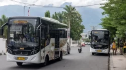Bus TransPalu Kembali Beroperasi