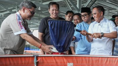 Anwar Hafid Dorong Budidaya Ikan Air Tawar Perluas Program Berani Tangkap Banyak