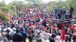 Aliansi Lingkar Tambang Tuntut WPR dan Pencabutan Laporan