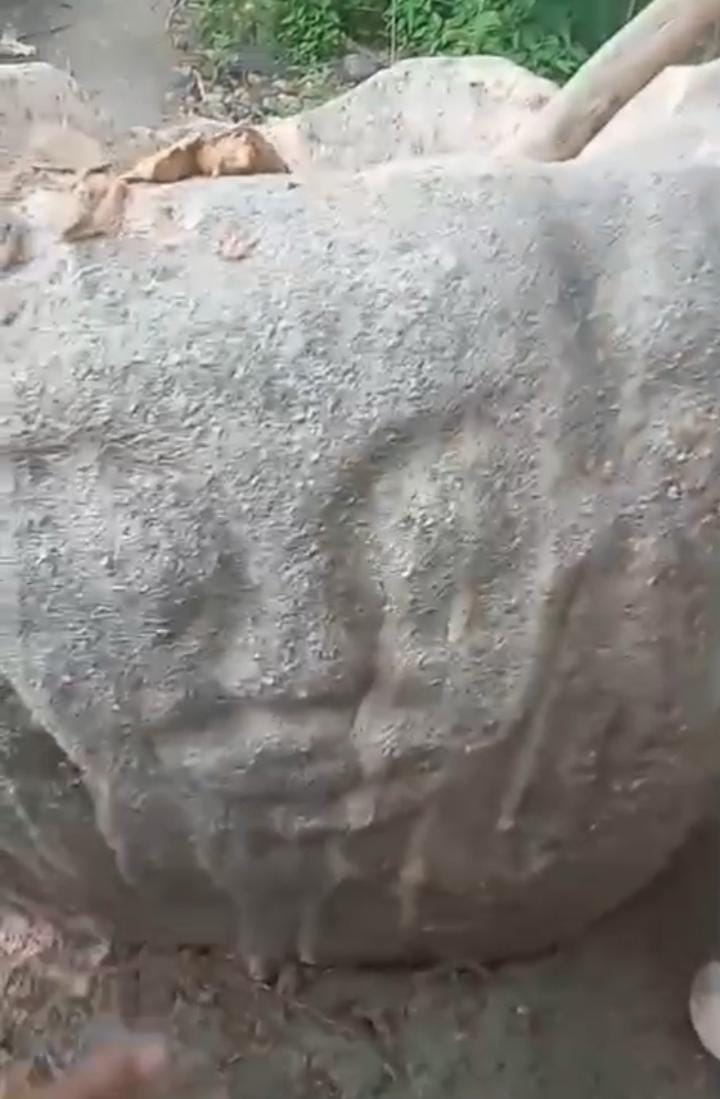 Komnas HAM Desak Penindakan Tambang Ilegal di Dongi-Dongi