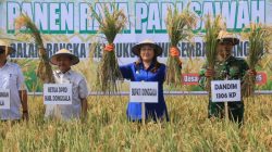 Donggala Prioritaskan Pangan di Tengah Efisiensi Anggaran