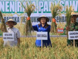 Donggala Prioritaskan Pangan di Tengah Efisiensi Anggaran