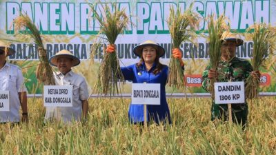Donggala Prioritaskan Pangan di Tengah Efisiensi Anggaran