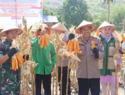 Kapolri Pimpin Panen Jagung Nasional, Polresta Palu Ikut Bergerak