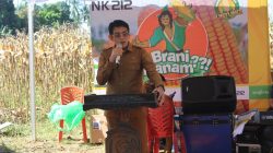 Panen Raya di Lobu Mandiri, Ketahanan Pangan di Parimo Semakin Kuat