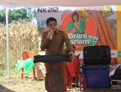 Panen Raya di Lobu Mandiri, Ketahanan Pangan di Parimo Semakin Kuat