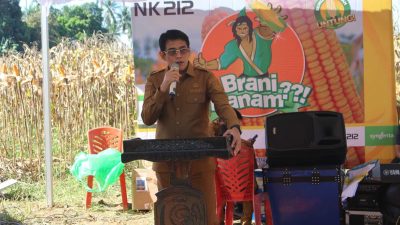 Panen Raya di Lobu Mandiri, Ketahanan Pangan di Parimo Semakin Kuat