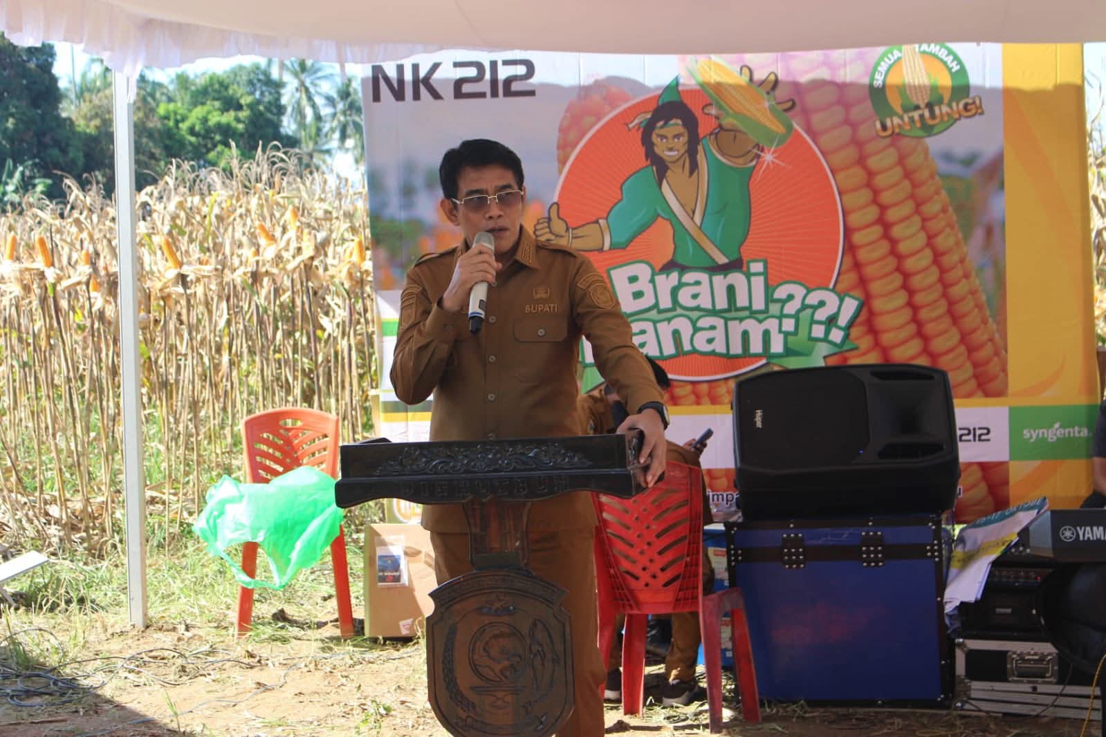 Panen Raya di Lobu Mandiri, Ketahanan Pangan di Parimo Semakin Kuat