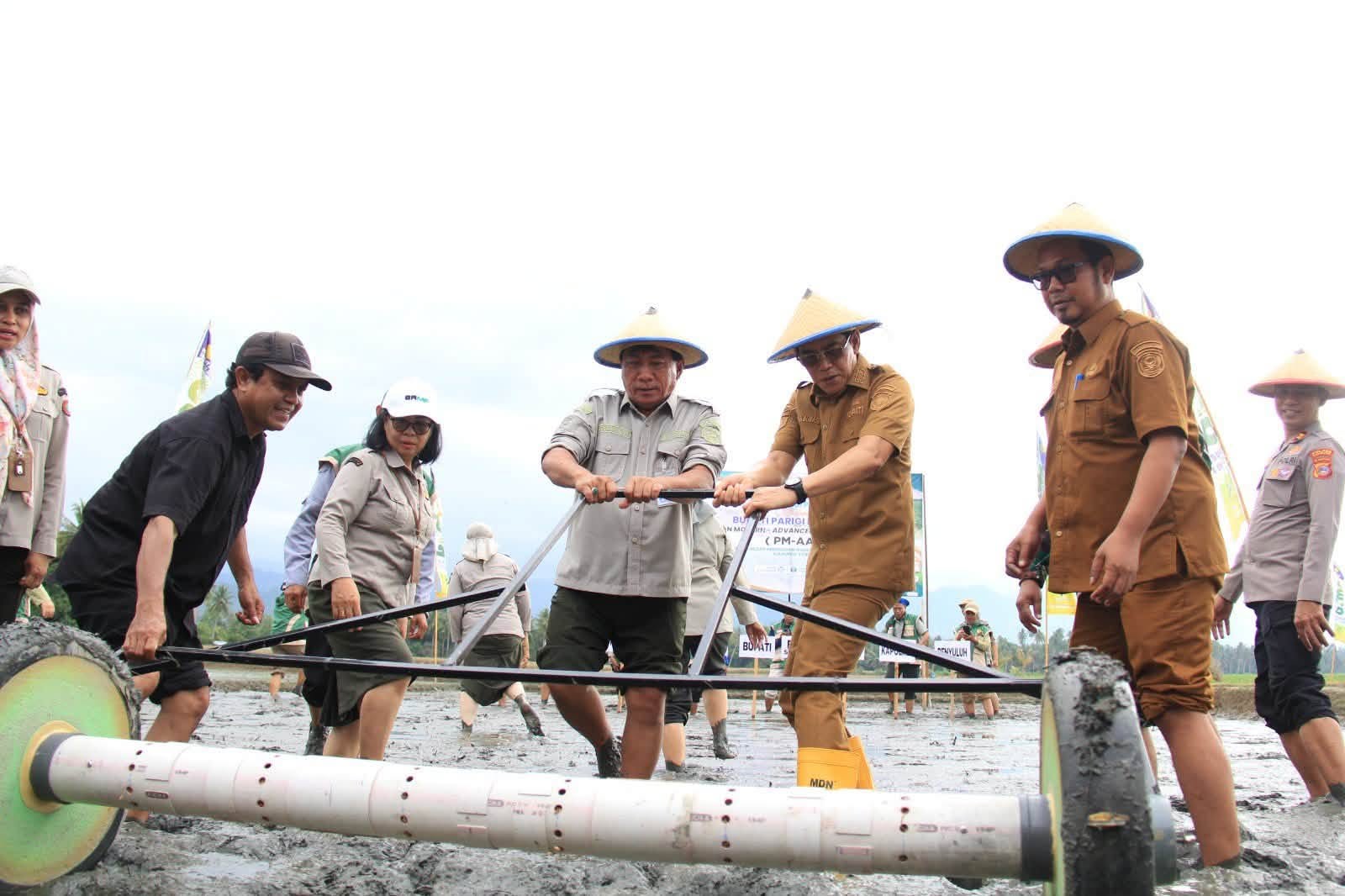 Bupati Parigi Moutong Pimpin Tanam Padi Perdana Pertanian Modern