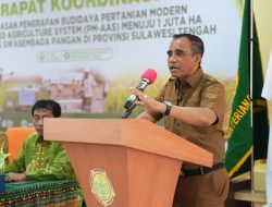 Target 6 Ton per Hektare, Sulteng Perkuat Langkah Menuju Lumbung Pangan