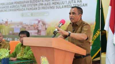 Target 6 Ton per Hektare, Sulteng Perkuat Langkah Menuju Lumbung Pangan