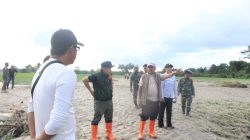 Sawah Siap Panen Terendam, Wabup Tinjau Langsung Lokasi Banjir Torue