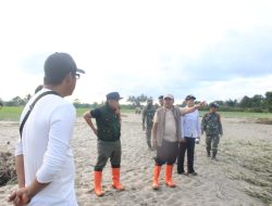 Sawah Siap Panen Terendam, Wabup Tinjau Langsung Lokasi Banjir Torue