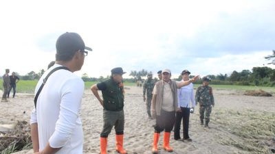 Sawah Siap Panen Terendam, Wabup Tinjau Langsung Lokasi Banjir Torue